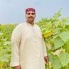 syedtoqeerfazal786