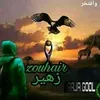 rajawizohair0