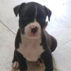 leivy_m