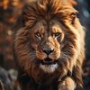 maxamed_587
