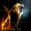 julianopesca_oficial
