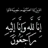 user39796033050041