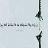 user3735409943880