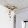 _.mold