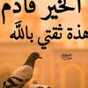 user738025438