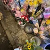 thaovy_12209