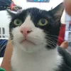 leiaferreira2222