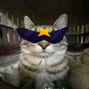 gatito6839