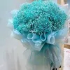 mint_00812