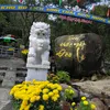 ngoclong137