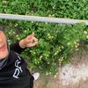 mmasyaw