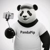 pandapip17