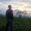 putracahaya829