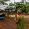 tut_ipul