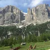 giannicoltra