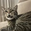 eatanearlobemum_