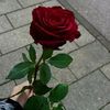 meryemmimi2416