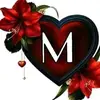 user15952255