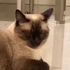 pxwxpxs