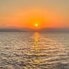 roula_220