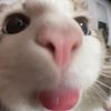 cait2722