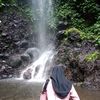 jellynih