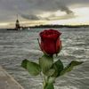 user421611956703