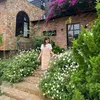 dacsantaynguyen88