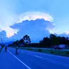 lehoang266755