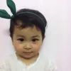 _bopih