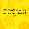 shahidchandio738819