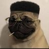 user731794657kt