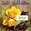 khitamsaleem