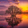 tuawn_and2588