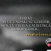 user268121198