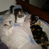 tatiajq82