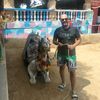 amr_altiar