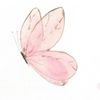 butterfly_9697
