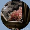 itis_52