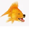 dogfish888