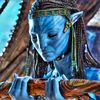 niprrte