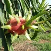 thanhlongbinhthuan86