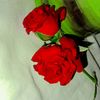 aamirshahxad512