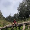 luckydimaspratama