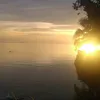 beshine2017