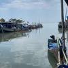 kancil_ganas