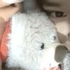 majo_sr_my