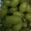 blokosuto1