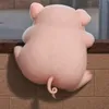 ao._3112