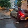aziiz_lehelli
